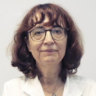 Prof.ª Cândida Abreu