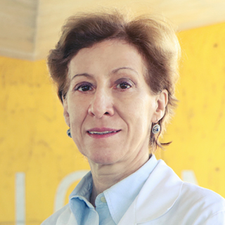 Prof.ª Rosa Vilares